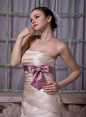 Champagne Strapless Celebrity Party Dress With Lilac Ribbon Inexpensive