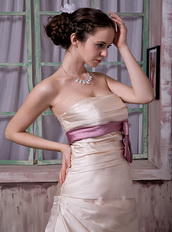 Champagne Strapless Celebrity Party Dress With Lilac Ribbon Inexpensive