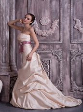 Prom Dresses UK Champagne Prom Celebrity Gowns With Lilac Belt Inexpensive