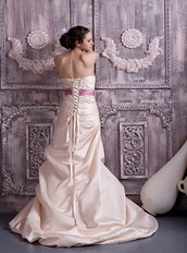 Prom Dresses UK Champagne Prom Celebrity Gowns With Lilac Belt Inexpensive