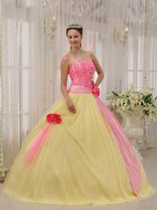 Strapless Appliqued Daffodil Skirt Quinceanera Dress With Pink Flowers