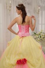 Strapless Appliqued Daffodil Skirt Quinceanera Dress With Pink Flowers