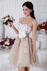 Lovely Sweetheart Champagne Short Prom Dress With Colorful Flowers