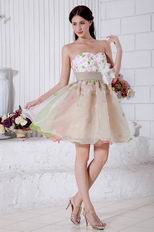 Lovely Sweetheart Champagne Short Prom Dress With Colorful Flowers