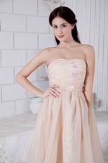 Sweetheart Flowers Short Prom Champagne Dress With Applique