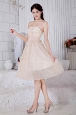 Sweetheart Flowers Short Prom Champagne Dress With Applique