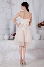 Sweetheart Flowers Short Prom Champagne Dress With Applique