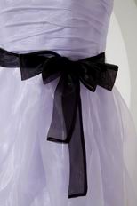 Lovely Spaghetti Straps Lavender Tulle Short Prom Dress Maker