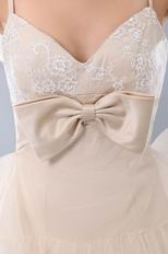 Lace Bodice Champagne Short Prom Dress With Bowknot Design