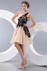 Left One Shoulder Champagne Short Prom Dress With Black Applique