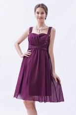 Pretty Straps Ruched Skirt Mini Plum Prom Dress For Girl