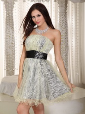 Black Belt Zebra Short Prom Dress Coverd With Net Luxury