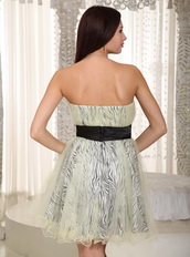 Black Belt Zebra Short Prom Dress Coverd With Net Luxury