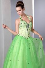 Halter Spring Green Organza Prom Dress With Purple Crystals