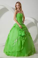 Lemon Green Quality La Quinceanera Dresses By Designer