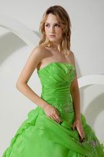 Lemon Green Quality La Quinceanera Dresses By Designer