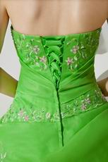 Lemon Green Quality La Quinceanera Dresses By Designer