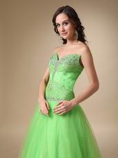 Fresh Spring Green Tulle Evening Dress Discount