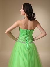 Fresh Spring Green Tulle Evening Dress Discount
