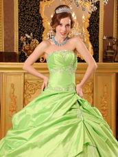 Spring Green Strapless Embroidery Decorate Quinceanera Dress