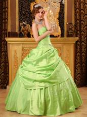 Spring Green Strapless Embroidery Decorate Quinceanera Dress