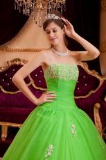 Spring Green Tulle Floor Length Quinceanera Dress By Designer