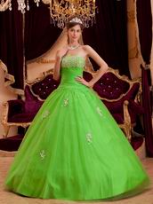 Spring Green Tulle Floor Length Quinceanera Dress By Designer