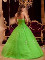 Spring Green Tulle Floor Length Quinceanera Dress By Designer