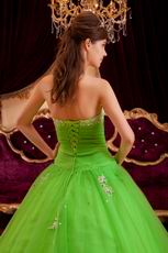 Spring Green Tulle Floor Length Quinceanera Dress By Designer