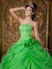 Side Handmade Flowers Decorate Spring Green Quinceanera Dress