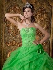 Side Handmade Flowers Decorate Spring Green Quinceanera Dress