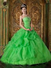 Side Handmade Flowers Decorate Spring Green Quinceanera Dress