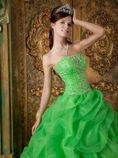 Side Handmade Flowers Decorate Spring Green Quinceanera Dress