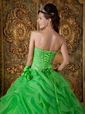 Side Handmade Flowers Decorate Spring Green Quinceanera Dress