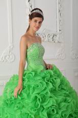 Spring Green Ruffled Skirt Dress to Wear For Quinceanera Party