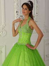 A-line Spring Green Tulle Quinceanera Dress By Designer