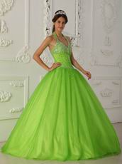 A-line Spring Green Tulle Quinceanera Dress By Designer