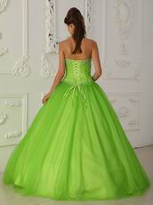 A-line Spring Green Tulle Quinceanera Dress By Designer