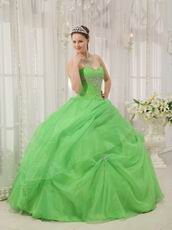 Pretty Quinceanera Gown Made By Spring Green Organza