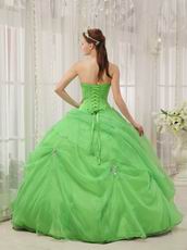 Pretty Quinceanera Gown Made By Spring Green Organza