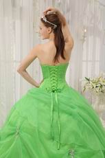 Pretty Quinceanera Gown Made By Spring Green Organza