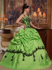 Appliqued Spring Green Quinceanera Dress Like A Princess