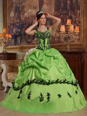 Appliqued Spring Green Quinceanera Dress Like A Princess