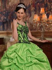 Appliqued Spring Green Quinceanera Dress Like A Princess