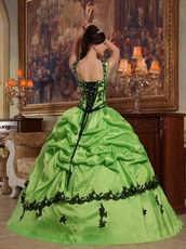 Appliqued Spring Green Quinceanera Dress Like A Princess