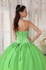 Cheap Spring Green Young Women Quinceanera Gown Dress