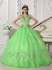 2019 Spring Green Halter Floor Length Quinceanera Ball