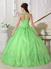 2019 Spring Green Halter Floor Length Quinceanera Ball