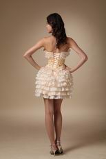 Ruffled Layers Skirt With Champagne Lace Sweet 16 Dress