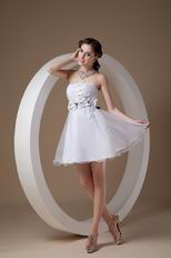 Strapless Knee Length Short Skirt Girls Choice Sweet 16 Dress